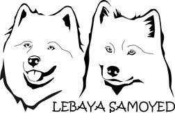 Lebaya Samoyed